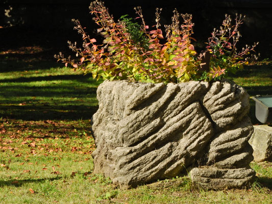 Schlosspark im Herbst ©Galerie Walker