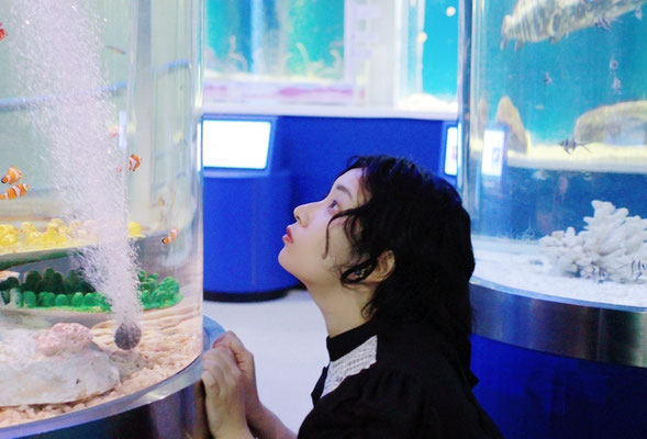 photo 雛白