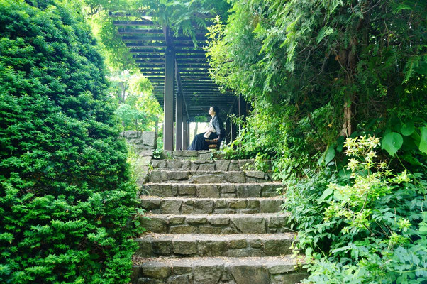 photo 雛白