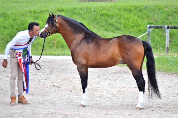 Son père JANPETE TOUCH OF CLASS (GBR)