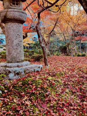 圓光寺