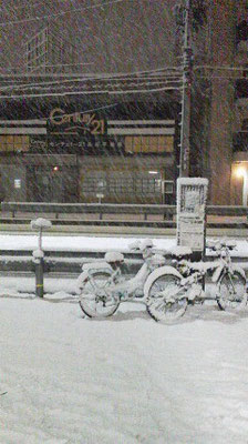 京都が雪国に・・・