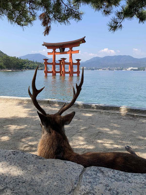 宮島旅行