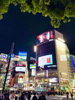 2025年5月渋谷の夜