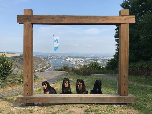 mit Freunden über Andernach am Rhein ( Indira, Annabelle, Baki, Brooke)