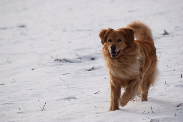 Booker Bleik fast 4 Jahre