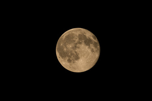 Fotografiert am 02.07.2015 um 22:53 Uhr Wien 1100
