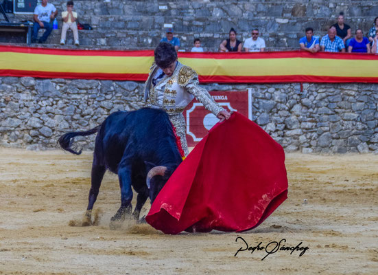 Manuel Domínguez