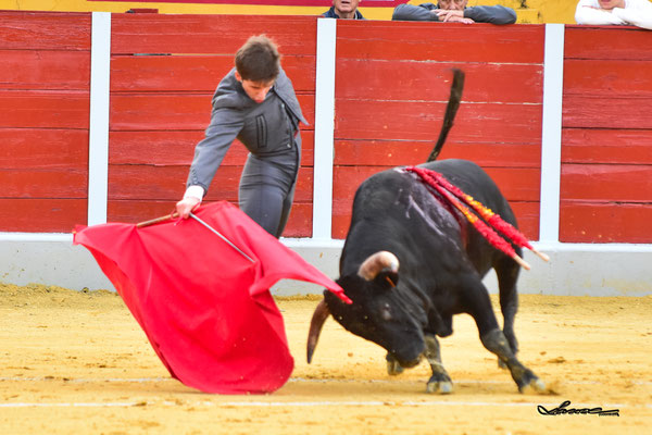 Manuel Martínez 