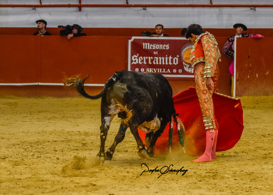 Juan Antonio Vázquez 