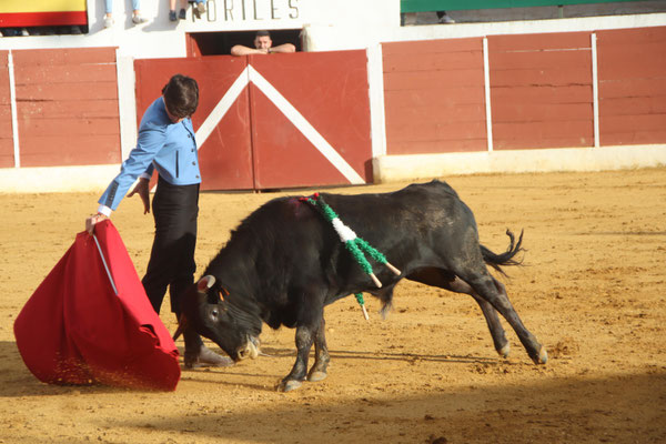 Miguel Ángel Rosa 
