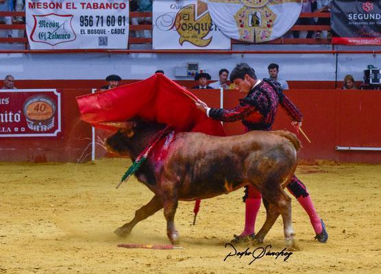 Esteban Molina 