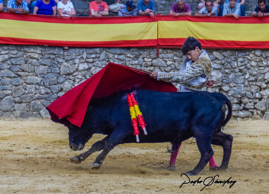 Manuel Domínguez