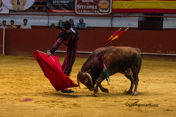 Esteban Molina 