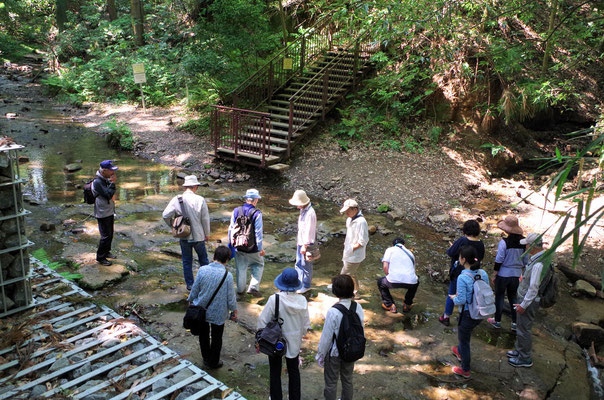 陣ケ下渓谷公園