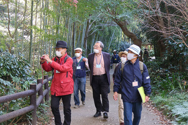 竹林もあり緑が豊富です