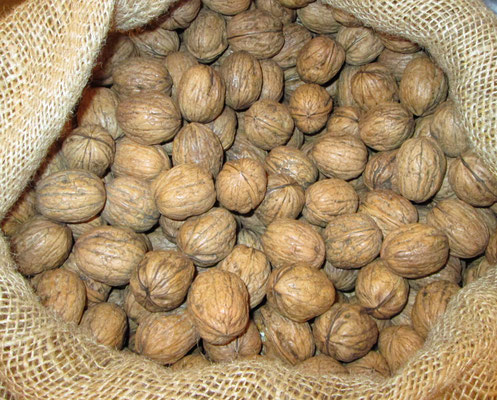 Nueces