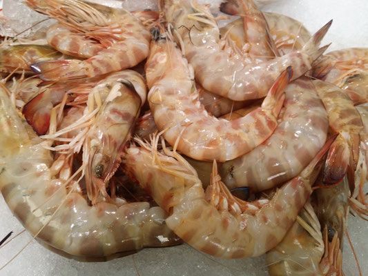 Langostino 