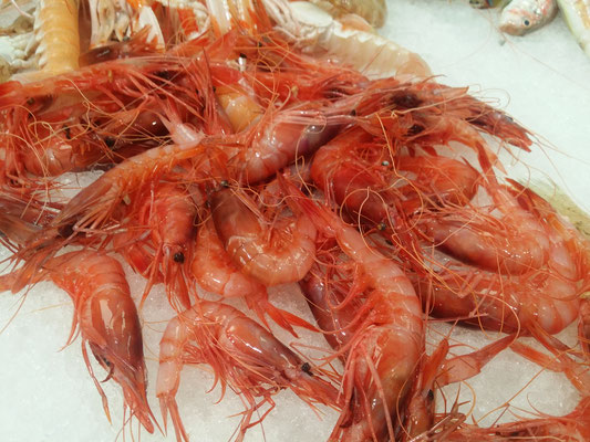 Gambas