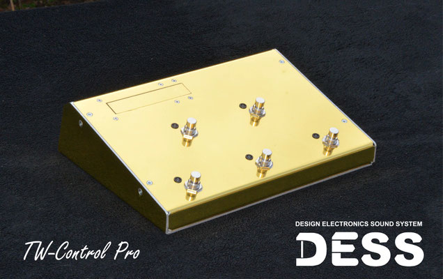 TW-Control Scène PRO Custom Gold Mini 2019,  Matthieu Chedid