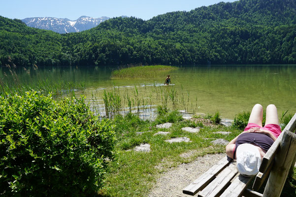 Weisensee