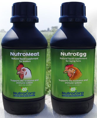 Supporting professional poultry companies to get HEALTHIER and STRONGER BROILERS and LAYING HENS