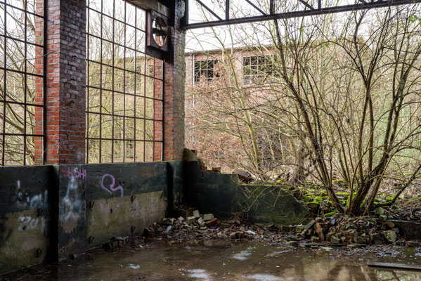© Gerrit
