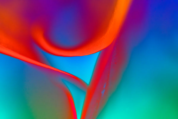 Leaves, kreative Fotografie mit dem Macroobjektiv