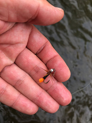 Fliegenfischen lernen in Deutschland mit der Fliegenfischerschule-Hessen