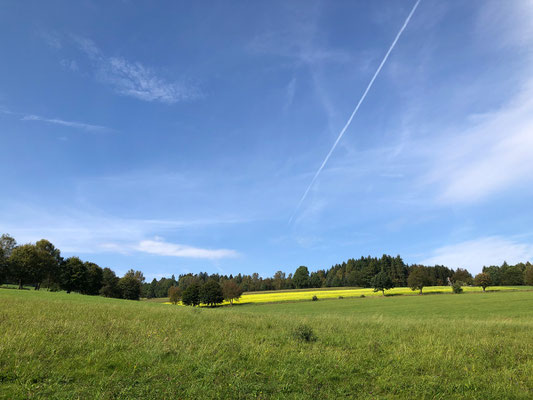 Fliegenfischen lernen in Deutschland / Fliegenfischerkurse / Fliegenfischerschule-Hessen