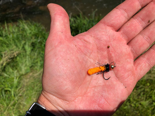 Fliegenfischen lernen in Deutschland / Fliegenfischerkurse / Fliegenfischerschule-Hessen