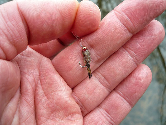 Fliegenfischerschule-Hessen // Fliegenmuster // Fliegenfischen Guiding und Wurfkurse im Rhein-Main-Gebiet