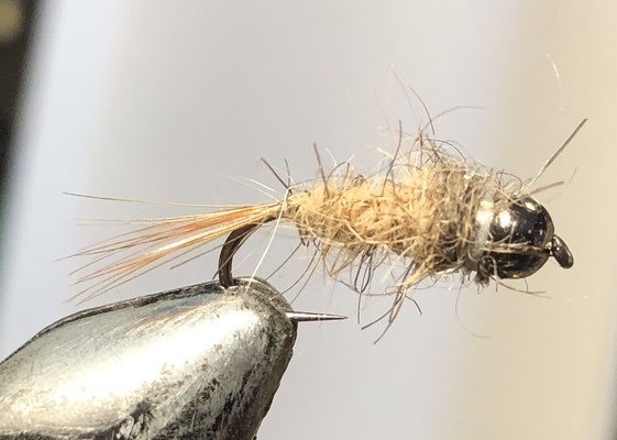 Fliegenfischerschule-Hessen // Fliegenmuster // Fliegenfischen in Deutschland lernen