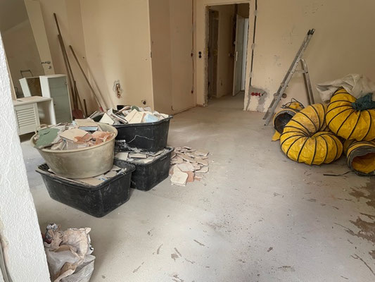 Wohnung Sanierung