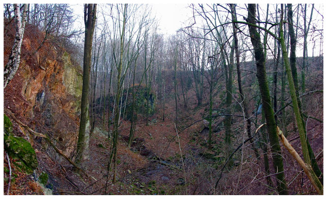 Blick in den Kalkbruch des Guts Nr. 2 (ehemals Heschel bzw. Leuschke)