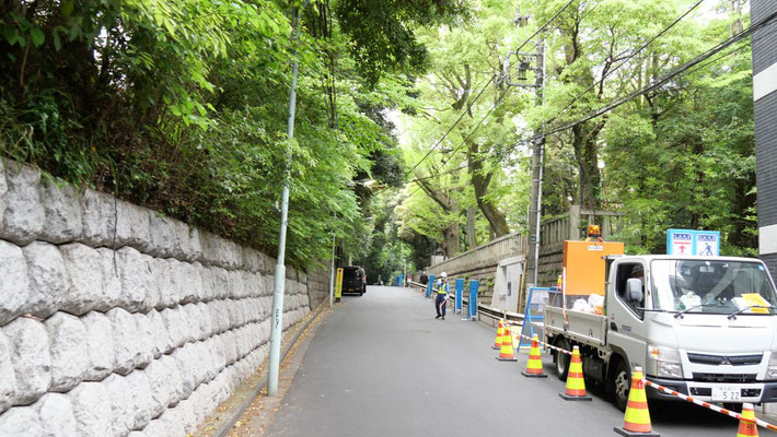 左側が赤坂氷川神社。この写真だけ見たら、とても赤坂には思えません。