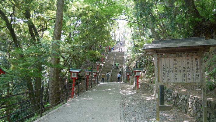 と、目の前に長い階段が！