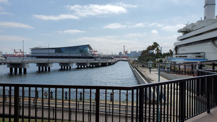 東京国際クルーズターミナル。大型客船を迎え入れる、海の玄関として期待されています。