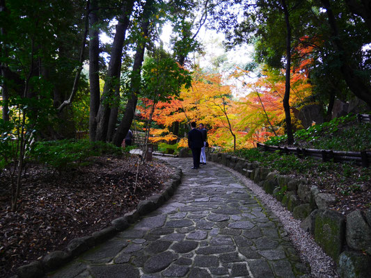 徳川園内を散策する岩崎、松本。