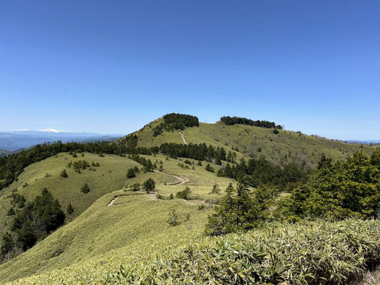 山頂付近、稜線が心地よいです。