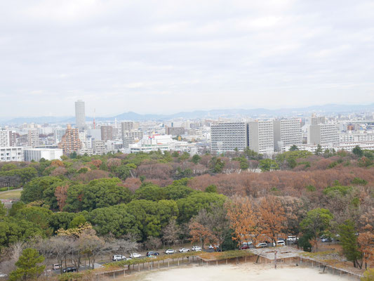 天守閣から北東方向を望む。和泉本社も見えますが、分かりますか？