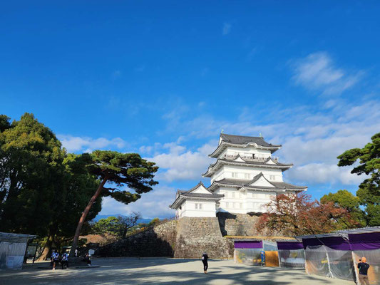 小田原城の天守閣。