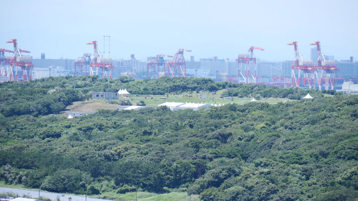 馬術が行われる海の森クロスカントリーコース。私が所有する望遠レンズでは、これが精一杯でした。