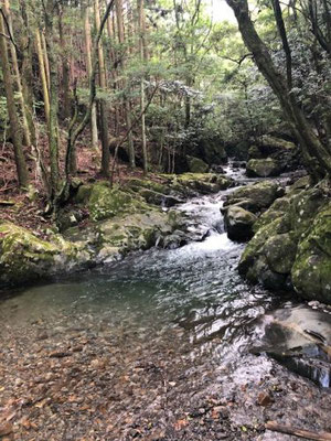 くらがり渓谷　愛知県岡崎市（春日井工場）　