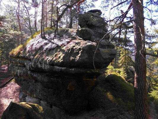 Auerhahnsteig westlicher Teil