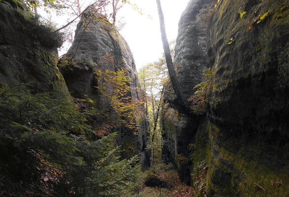 JP - Schlucht, mittlerer Teil