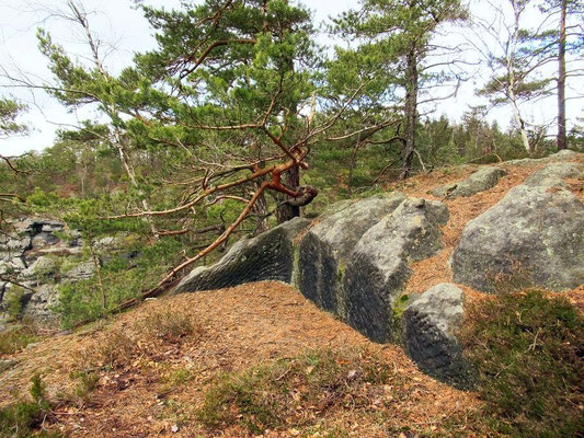 Prebischwand Steinerne Sitzecke