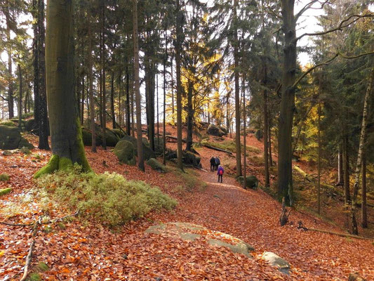 Wanderweg zum Königsplatz