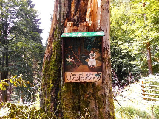 An der ehemaligen Jungferntanne
