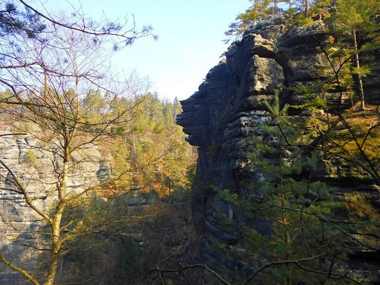 Blick zur Prebischwand